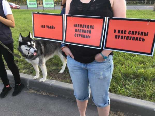Петербуржцы вышли на массовый пикет в защиту СКК 