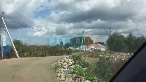 Видео: вблизи поселка Рыжики образовалась незаконная свалка 1