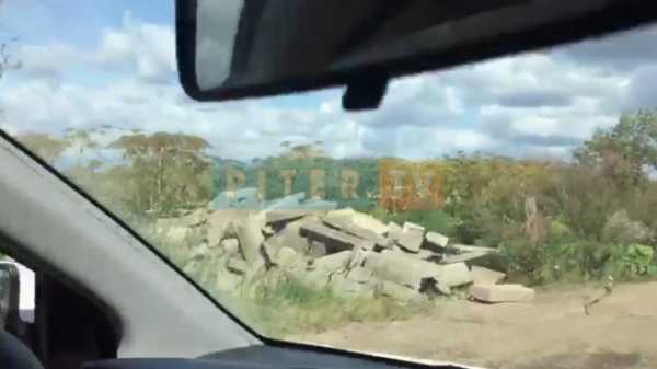 Видео: вблизи поселка Рыжики образовалась незаконная свалка 0