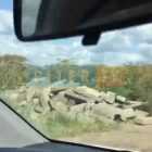 Видео: вблизи поселка Рыжики образовалась незаконная свалка