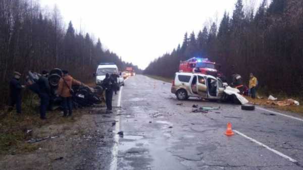 Под Вологдой в смертельном лобовом ДТП выжили крокодил и питон