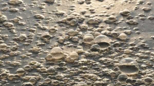Эксперты признали реку Каменку экстремально загрязнённой