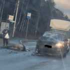СМИ: лошадку на Красносельском шоссе сбил сын бывшего губернатора Ленобласти