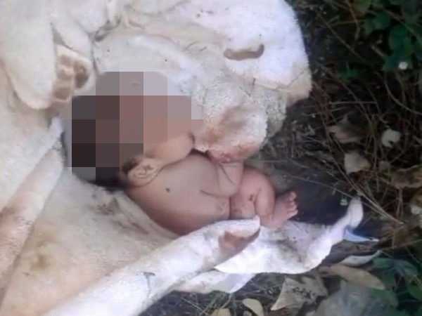 В Ростовской области пойдет под суд 24-летняя мать, которая бросила умирать новорожденного ребенка в кустах1