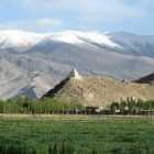 На Тибете учёные нашли 28 неизвестных вирусов в леднике