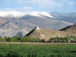На Тибете учёные нашли 28 неизвестных вирусов в леднике0