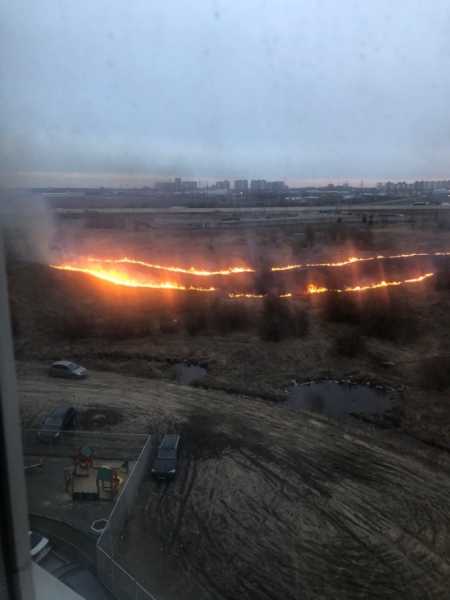 Видео: очевидцы сообщили о серьезном пожаре в районе Кудрово0