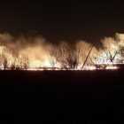 Видео: в Пушкине загорелось поле