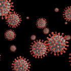В ВОЗ раскрыли происхождение коронавируса