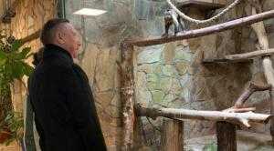 Петербург поможет Ленинградскому зоопарку выжить в условиях кризиса