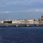 В Петербурге появилось приложение, помогающее гулять без штрафов