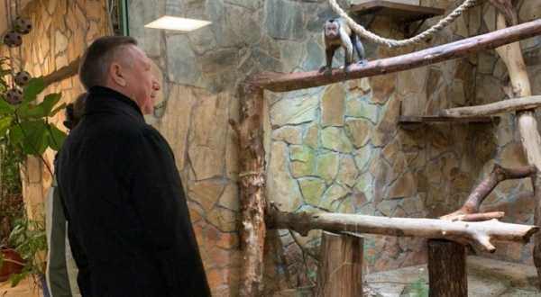 Петербург поможет Ленинградскому зоопарку выжить в условиях кризиса0
