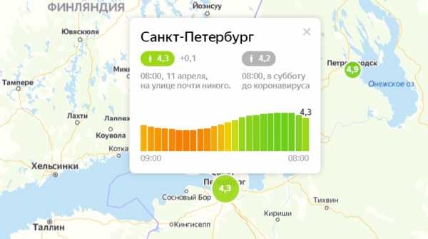 В субботу утром индекс самоизоляции в Петербурге упал до 4,30