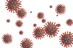 В ВОЗ раскрыли происхождение коронавируса