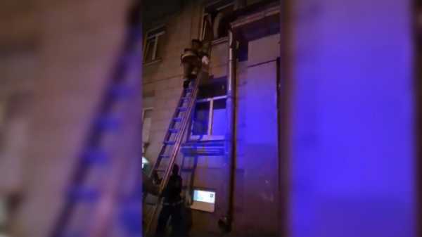 Компания ребят и пожарные спасли застрявшего в окне кота