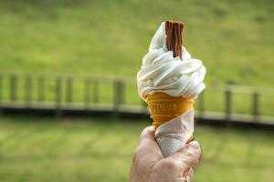 Диетолог рассказал об опасности поедания мороженого в жару