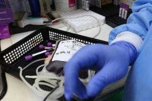 Петербуржцы продолжают активно сдавать тест на коронавирус
