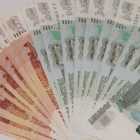 Бюджет Петербурга заработает 17 млн рублей на «коронавирусных нарушителях»