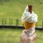 Диетолог рассказал об опасности поедания мороженого в жару