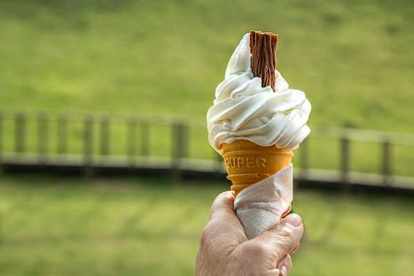 Диетолог рассказал об опасности поедания мороженого в жару0
