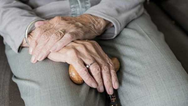 Сотрудники "Лизы Алерт" рассказали о поисках ушедшей из больницы пенсионерки