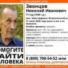 В Петербурге разыскивают пожилого грибника