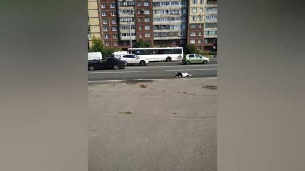 Mercedes сбил велосипедистку на Шлиссельбургском проспекте1