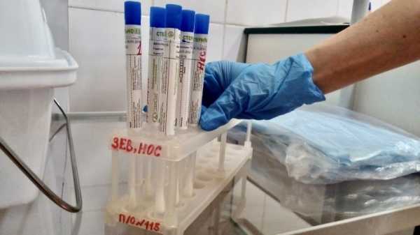 С марта по июль в Петербурге сделали 1,5 миллиона тестов на коронавирус0