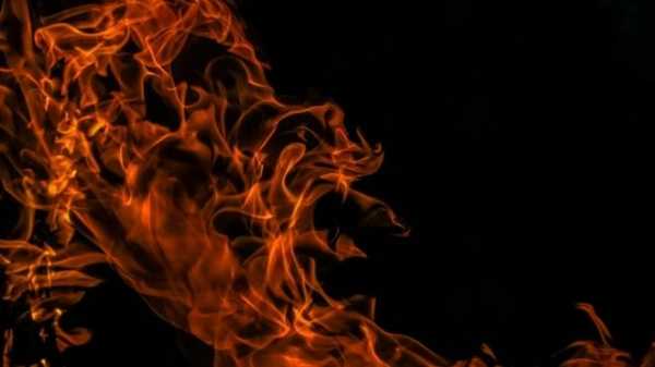 В ночном пожаре в Тосно погиб один человек