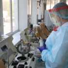 За сутки на коронавирус проверили более 26 тысяч петербуржцев