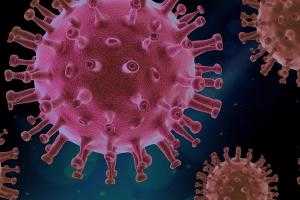 Эксперт рассказала, в какой момент болезни пациент с коронавирусом наиболее заразен