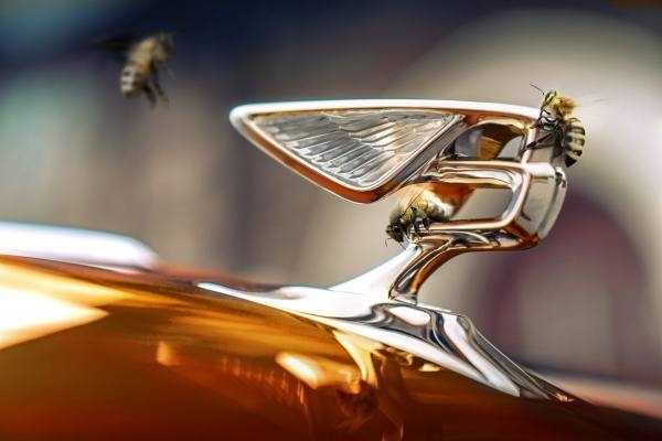 Под мерное жужжание: Bentley полностью откажется от моделей с ДВС к 2030 году