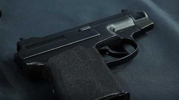 Житель Гатчинского района попал под уголовное дело за хранение старых патронов и пистолета