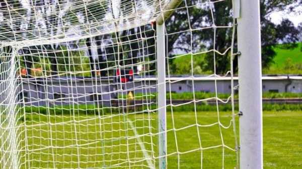 Футбольные ворота упали на школьника на уроке физкультуры в Мурино