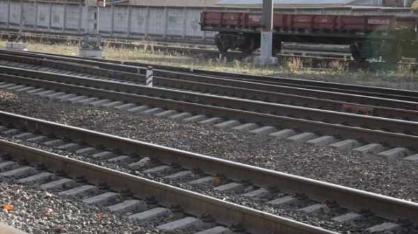 Мужчина пытался похитить 800 кг железнодорожных деталей в Шушарах