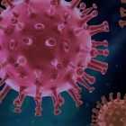 Врачи обнаружили необычное свойство коронавируса