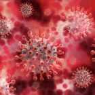 Новый штамм коронавируса выявили в Нигерии