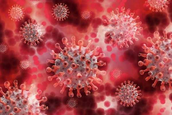 Новый штамм коронавируса выявили в Нигерии0