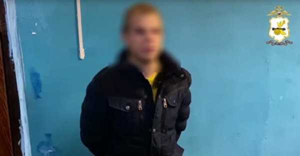 В Смоленской области сотрудники уголовного розыска раскрыли разбой в отношении пожилой женщины1