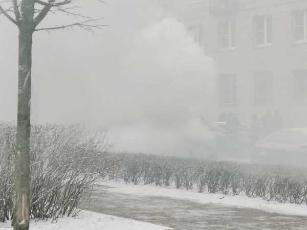 Видео: в Центральном районе Петербурга сгорел 