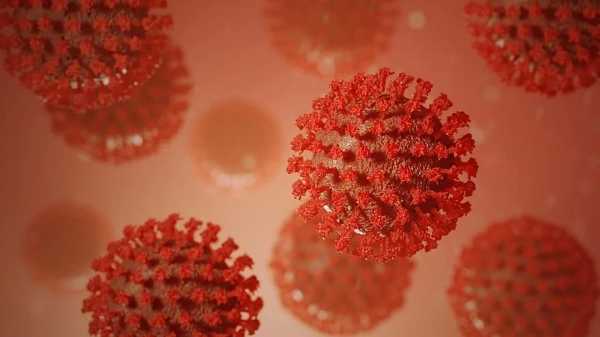 Ученые смогли установить картину поражения лёгких при заражении коронавирусом0