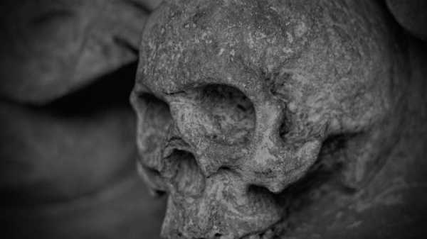 В колодце на Выборгском шоссе нашли человеческие кости