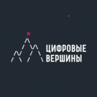 Ленинградских айтишников приглашают покорить «Цифровую вершину»