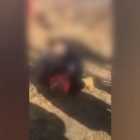В Приморье проверяют видео с публичным избиением школьницы сверстницей