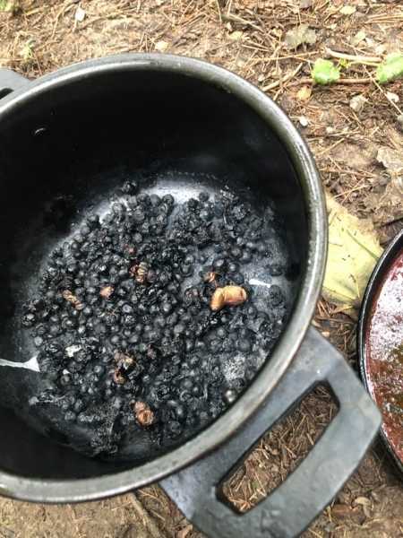 19 людей, которым стоит запретить готовить, ведь всё, что у них получается — это угольки и несъедобная мешанина