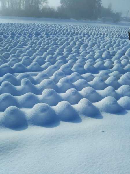 20 удивительно приятных снежных фотографий, на которых всё выглядит просто идеально
