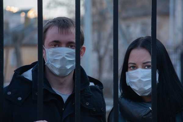 В Петербурге диагностировали 3758 случаев COVID-19 за сутки0