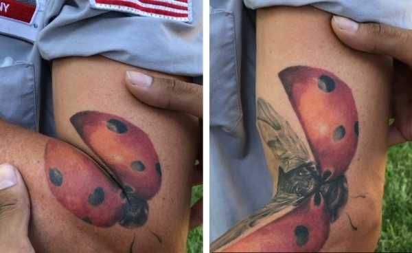 16 оригинальных татуировок, которые при движении могут оживать