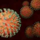 Неизвестную ранее мутацию коронавируса нашли в Калифорнии