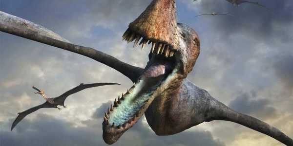 Как выглядели яйца динозавров: 25 фактов о жизни миллион лет до нашей эры